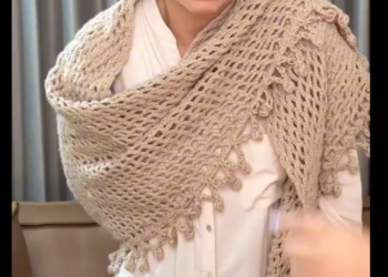 L2701002 De esta forma intento mandar al asilo su cuñada pero su novio fue mas inteligente Willeannys Perez part2