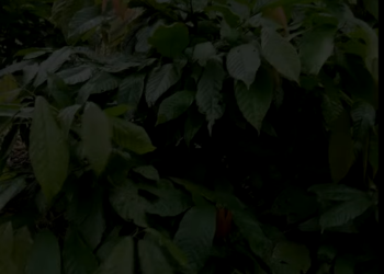 L0102002 Aband0n0 a su hijo por un hombre