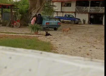 L2701001 Fue capaz de darle la bebida para estar nuevamente juntos los tres