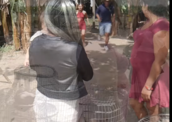 L2801001 La ex mujer de mi marido vino justo el día de mi cumpleaños