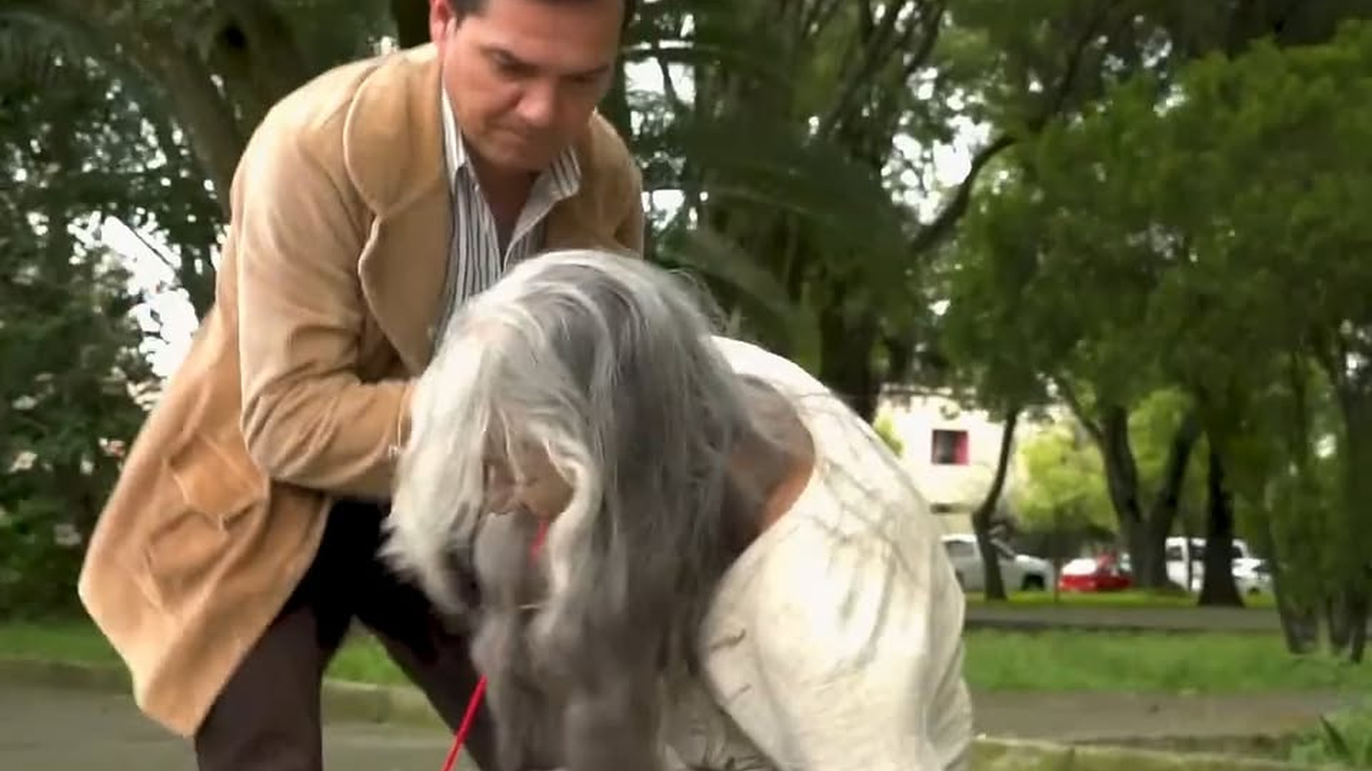 L1403003 Viejita muda logró salvarla part2